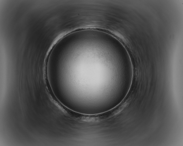 X0000086881374200704161211