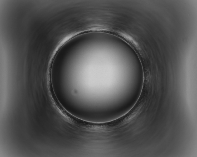 X0000086881375200704161211