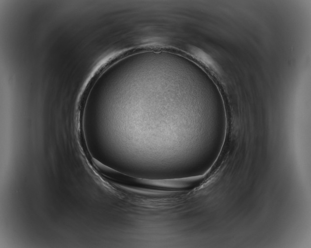 X0000086881376200704161211