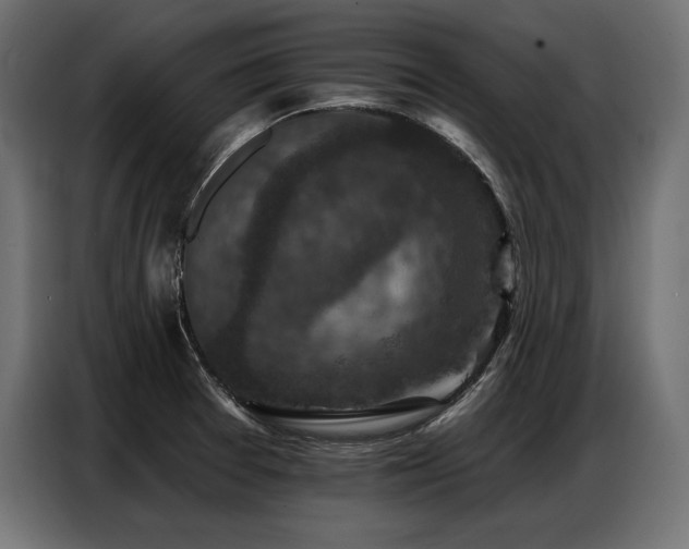 X0000086881377200704161211