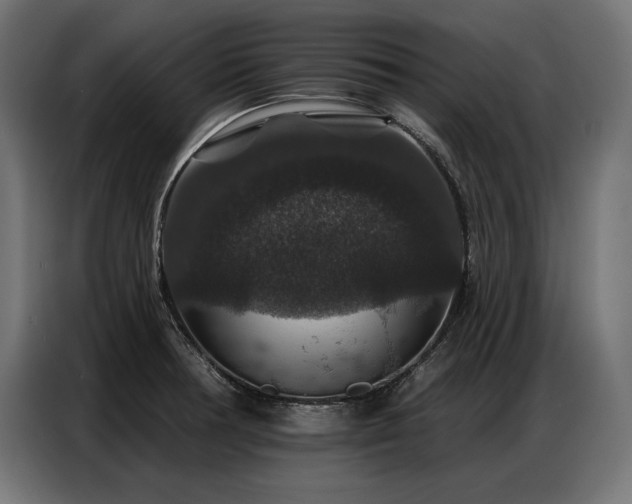 X0000086881378200704161211