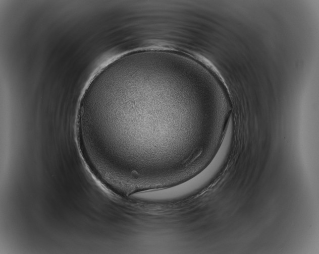 X0000086881379200704161211