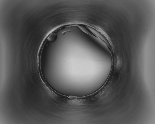 X0000086881380200704161211