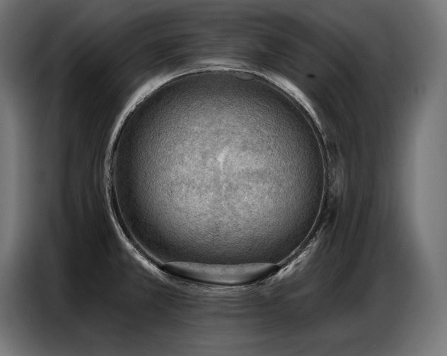 X0000086881381200704161211