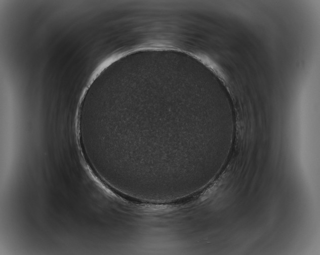 X0000086881382200704161211