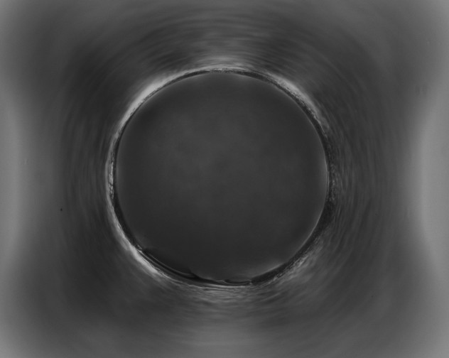 X0000086881383200704161211