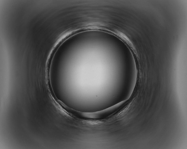 X0000086881384200704161211