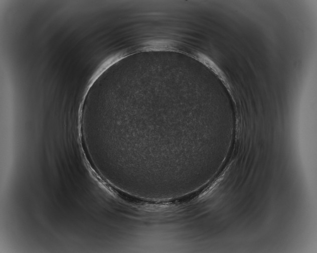 X0000086881386200704161211