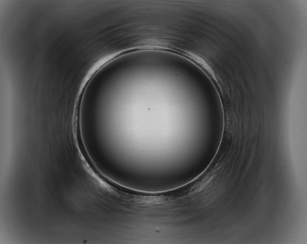 X0000086881387200704161211