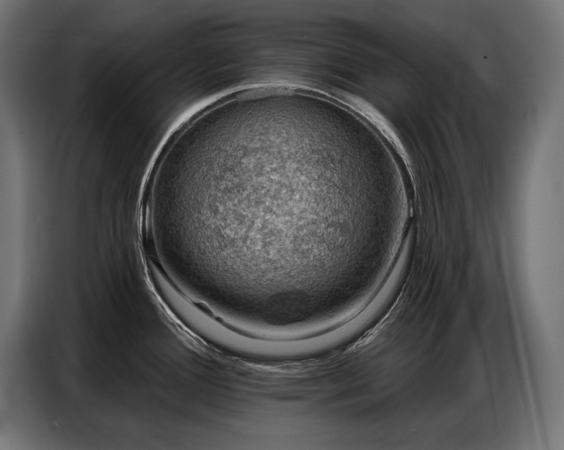 X0000086881388200704161211
