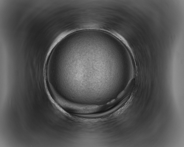 X0000086881389200704161211