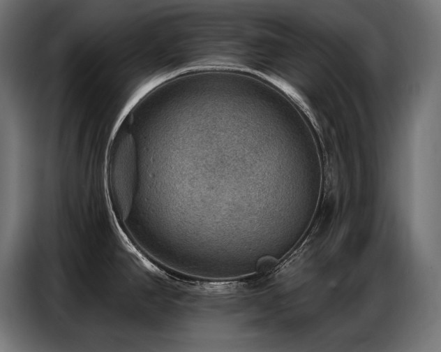 X0000086881390200704161211