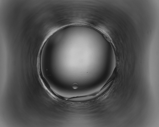 X0000086881391200704161211