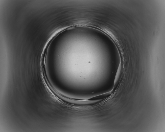 X0000086881392200704161211