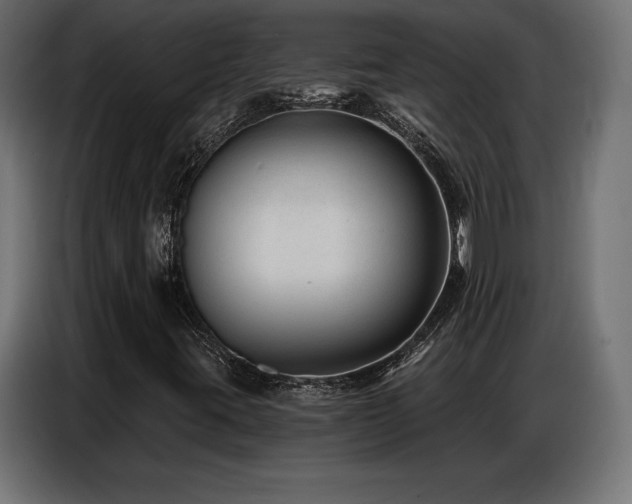 X0000086881395200704161210