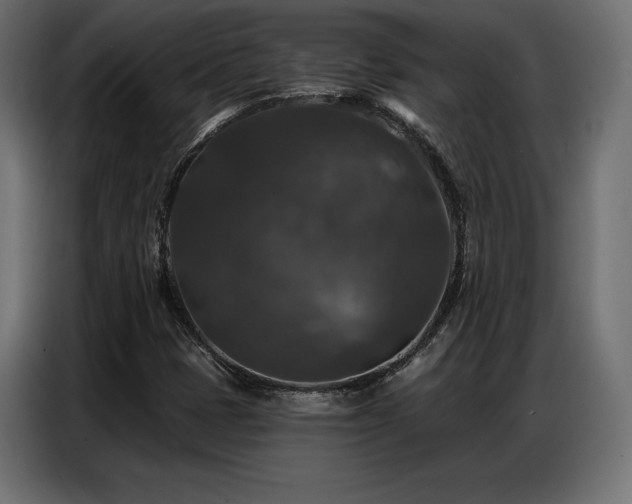 X0000086881401200704161210