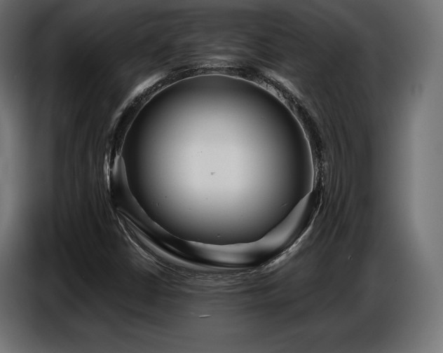 X0000086881402200704161210