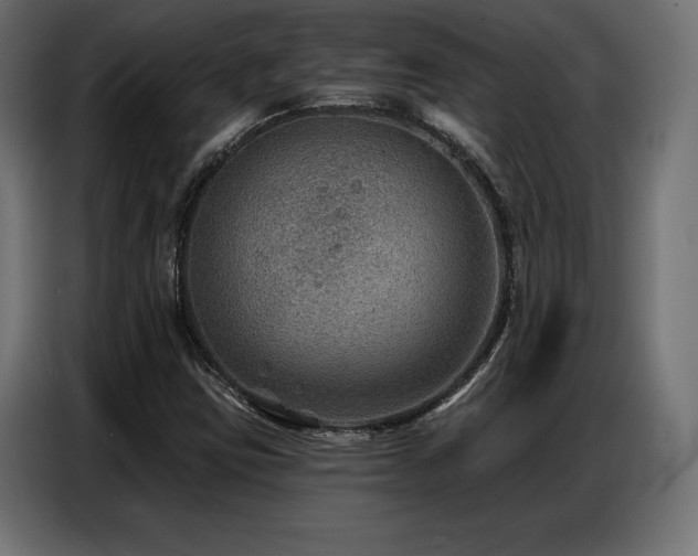 X0000086881403200704161210