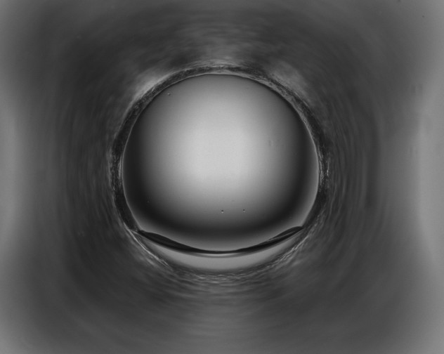 X0000086881404200704161210