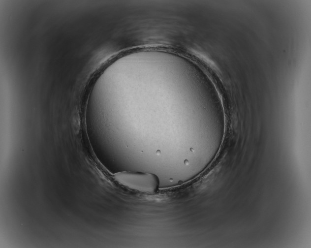 X0000086881407200704161210