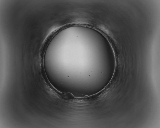 X0000086881408200704161210