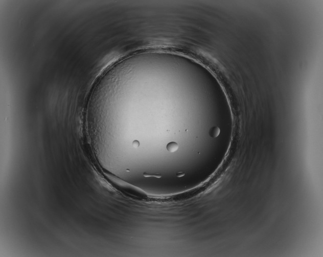 X0000086881409200704161211