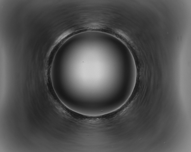 X0000086881410200704161211