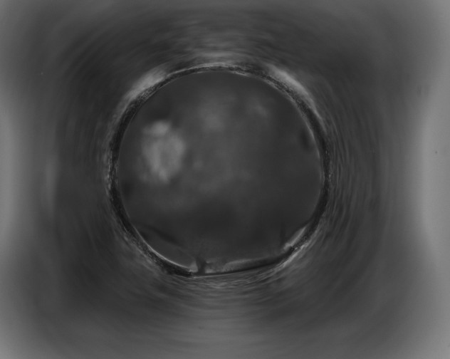 X0000086881411200704161211