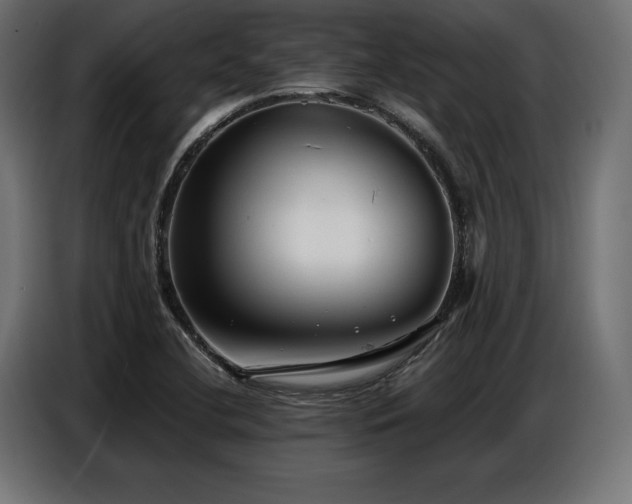 X0000086881412200704161211