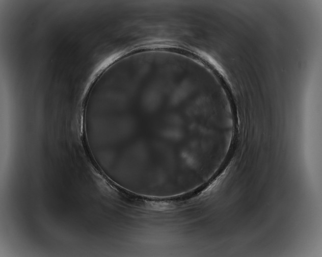 X0000086881413200704161211