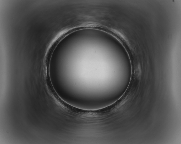 X0000086881414200704161211