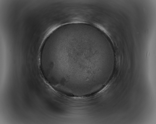 X0000086881415200704161211