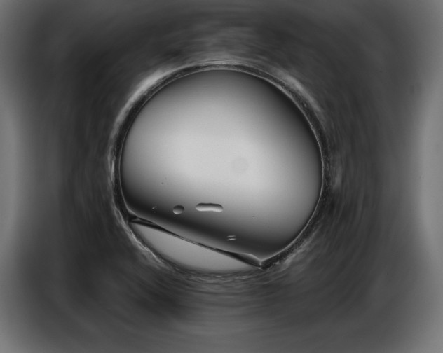 X0000086881416200704161211