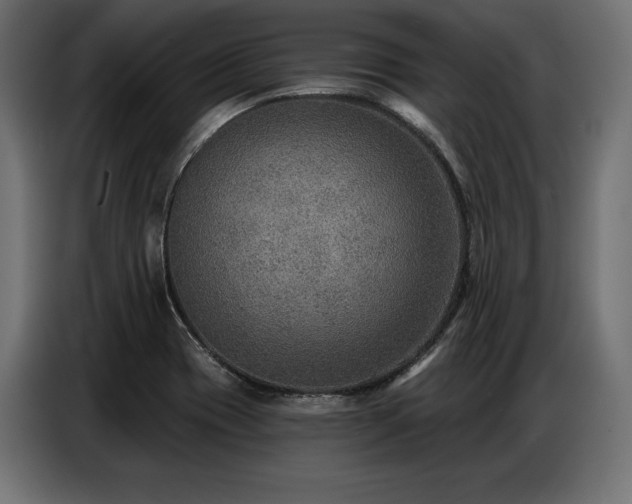 X0000086881417200704161211