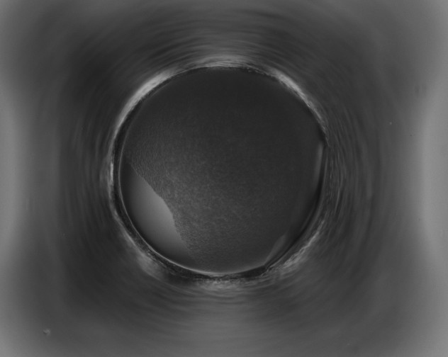 X0000086881418200704161211