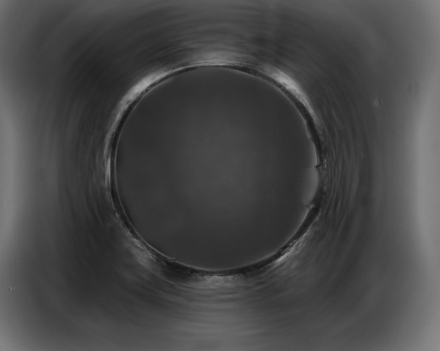 X0000086881419200704161211