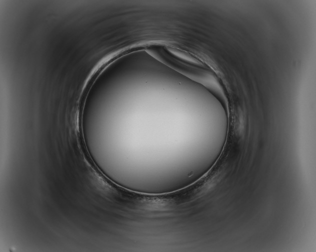 X0000086881420200704161211