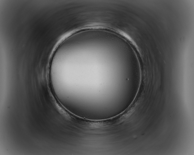 X0000086881421200704161211