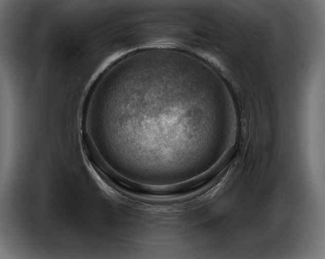 X0000086881422200704161211