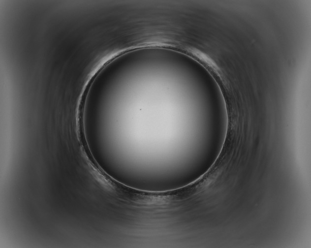 X0000086881423200704161211