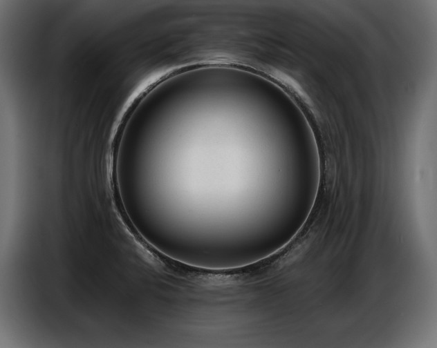 X0000086881424200704161211