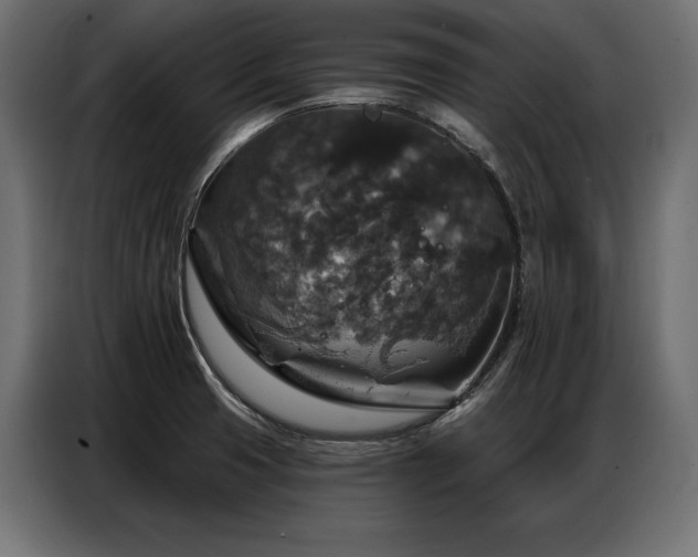 X0000086881425200704161211