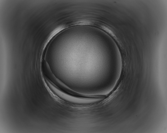 X0000086881426200704161211