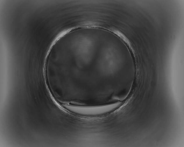 X0000086881429200704161211