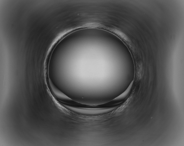 X0000086881430200704161211