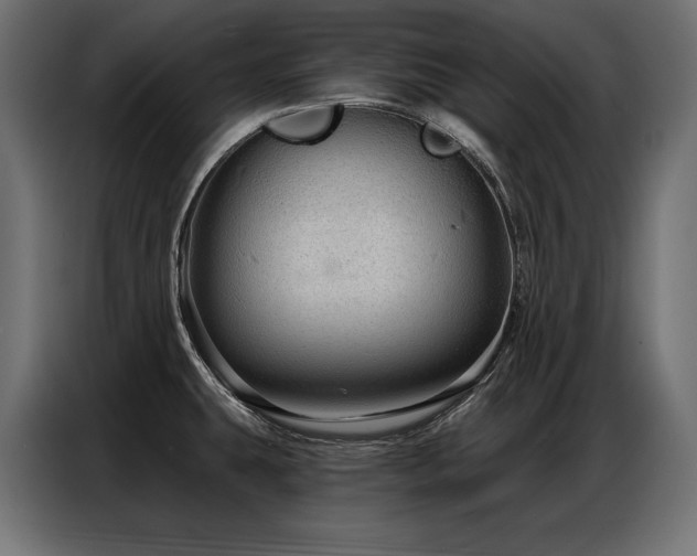 X0000086881431200704161211