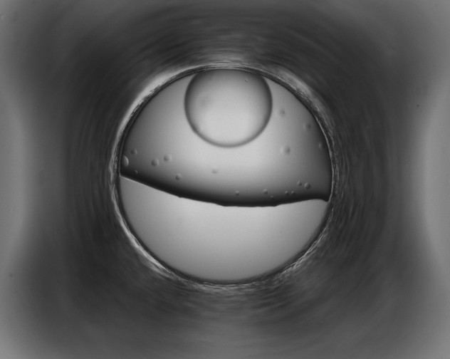 X0000086881432200704161211