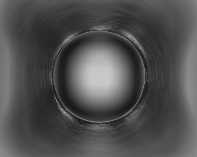 X0000086881433200704161211