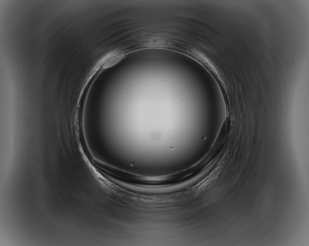 X0000086881434200704161211