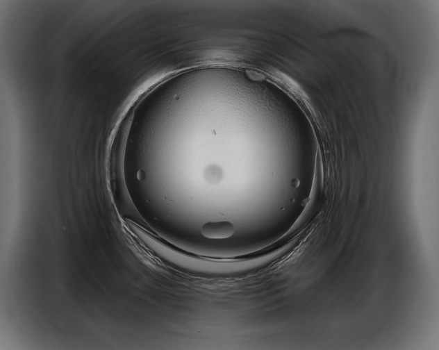 X0000086881435200704161211